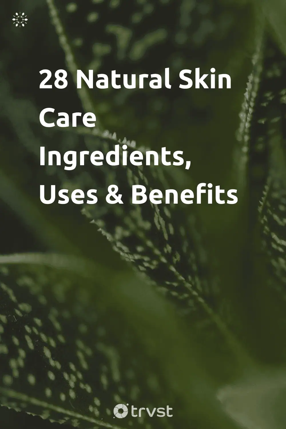 Pinterest Image for 28 Natural Skin Care Ingredients, Uses & Benefits