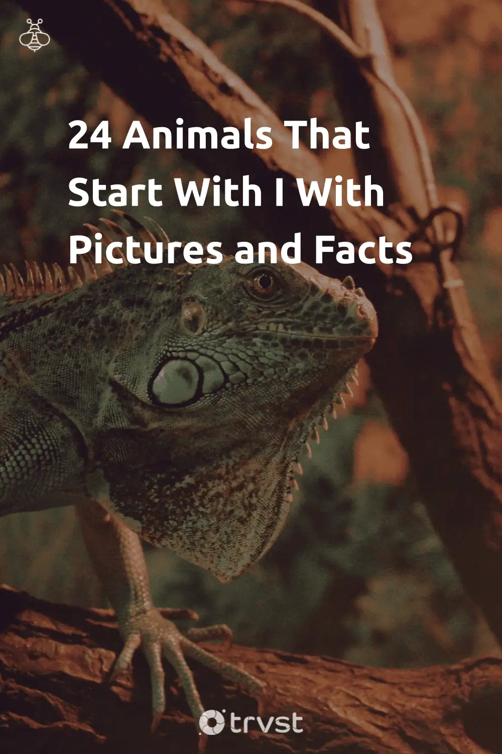 Pinterest Image for 24 Animals That Start With I With Pictures and Facts