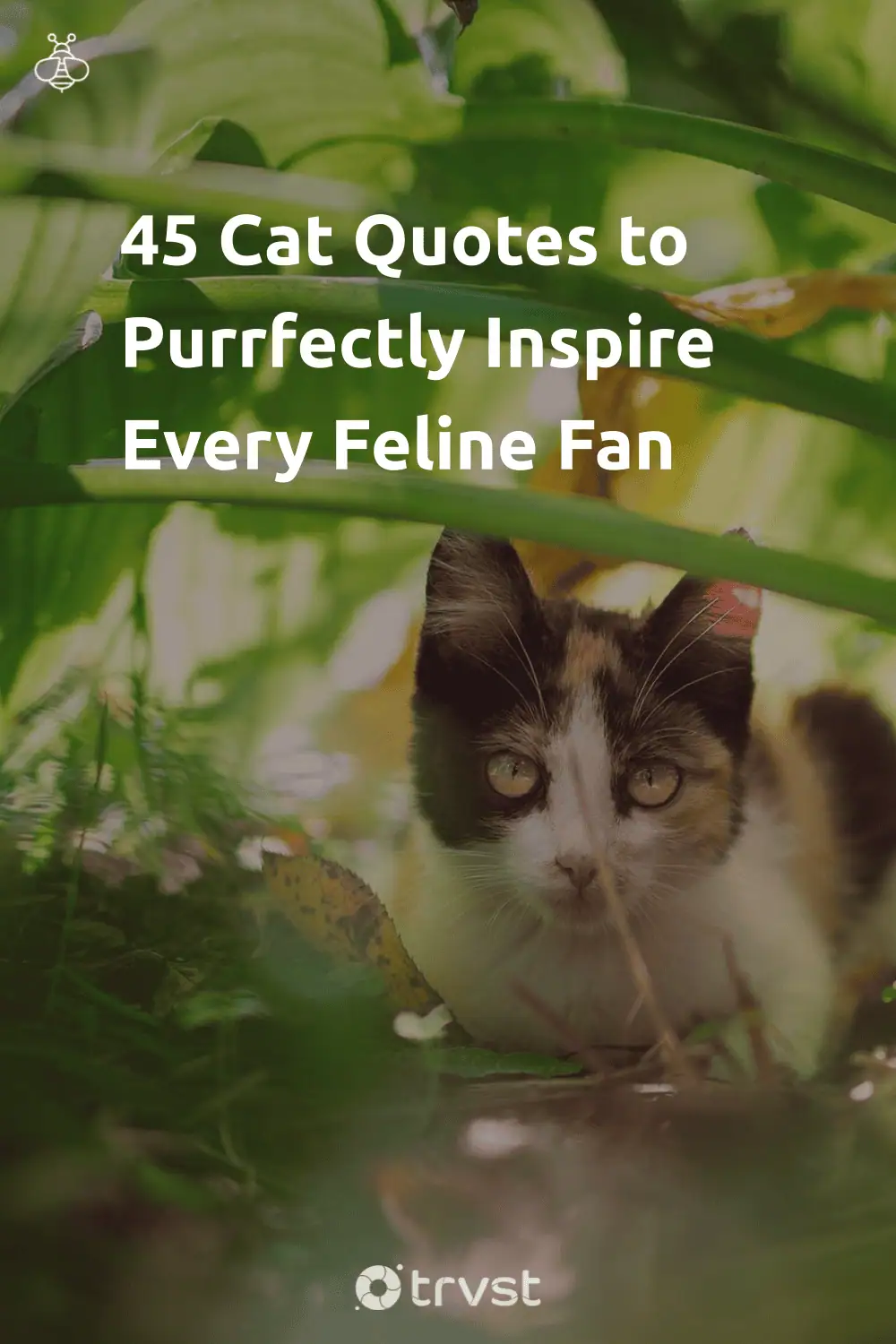 Pinterest Image for 45 Cat Quotes to Purrfectly Inspire Every Feline Fan