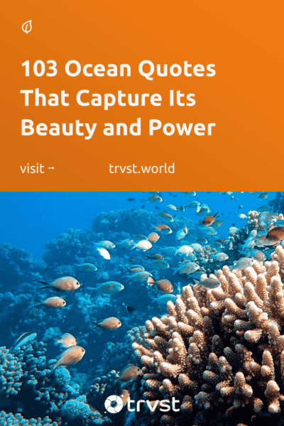 Pinterest Image for 103 Ocean Quotes That Capture Its Beauty and Power