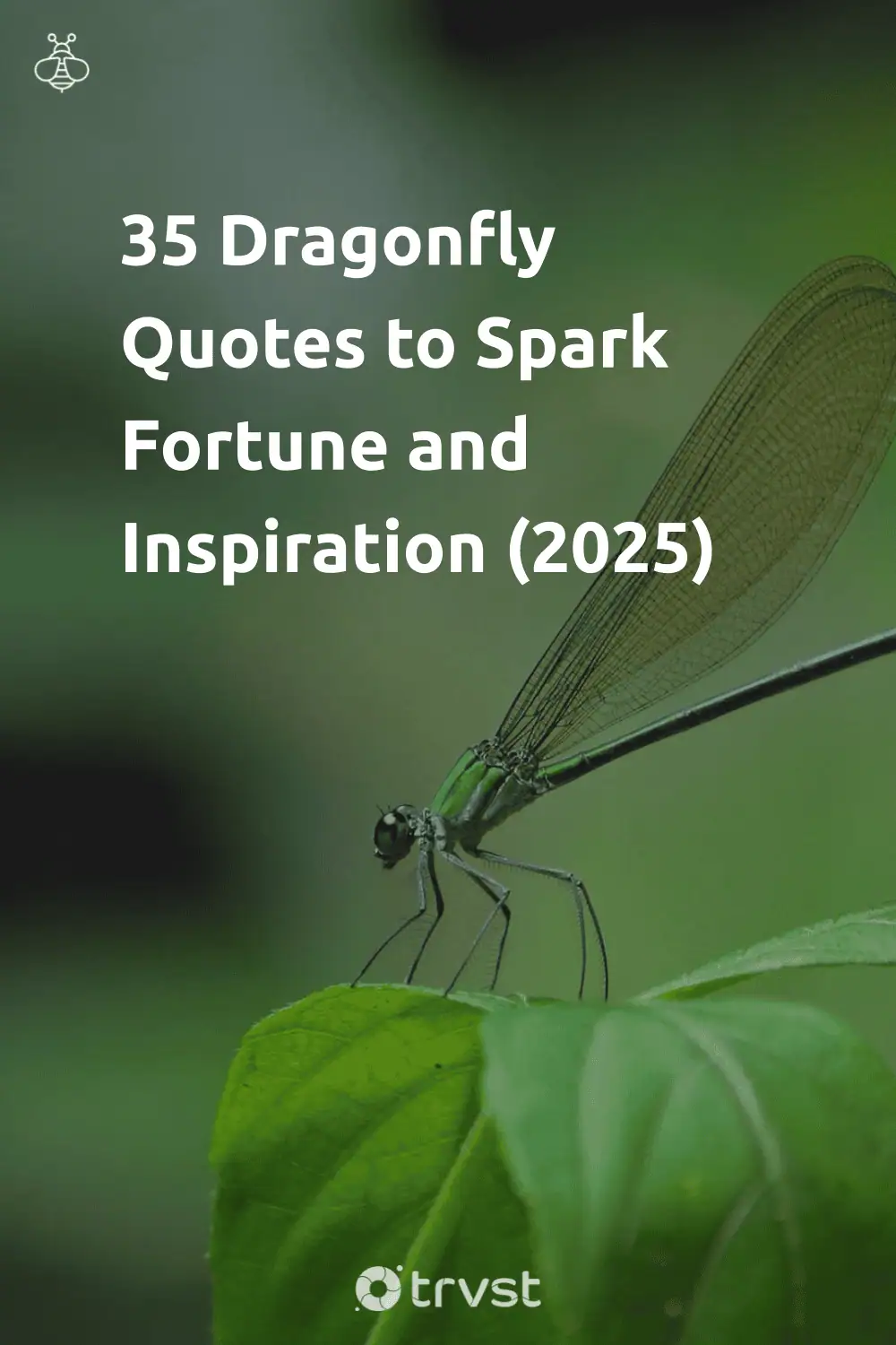 Pinterest Image for 35 Dragonfly Quotes to Spark Fortune and Inspiration (2025)