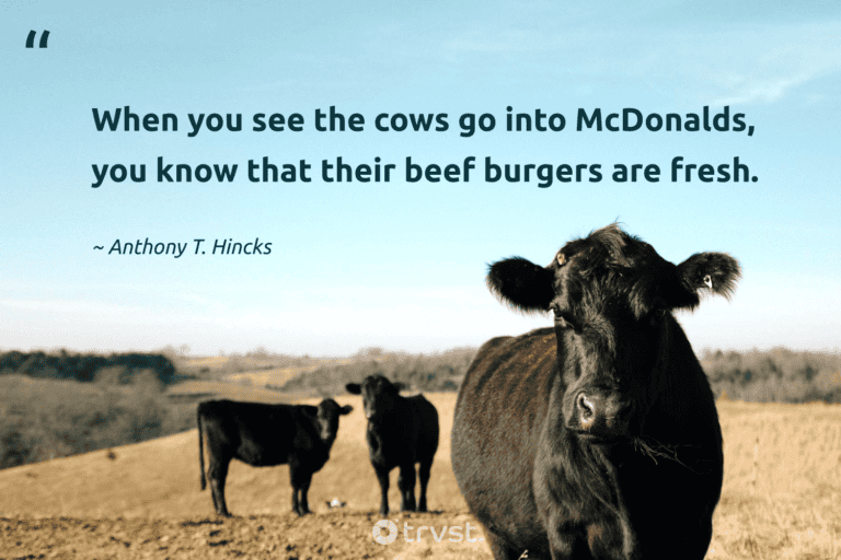 "When you see the cows go into McDonalds, you know that their beef burgers are fresh." -Anthony T. Hincks #trvst #quotes #planetearthfirst #changetheworld #cow #fresh 