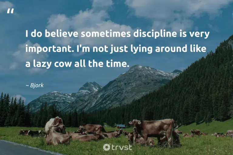 "I do believe sometimes discipline is very important. I'm not just lying around like a lazy cow all the time." -Bjork #trvst #quotes #changetheworld #collectiveaction #cow 