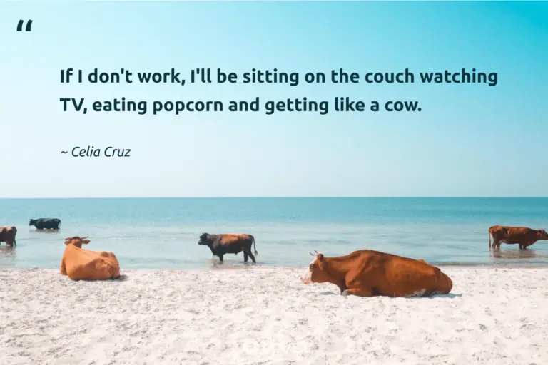 "If I don't work, I'll be sitting on the couch watching TV, eating popcorn and getting like a cow." -Celia Cruz #trvst #quotes #changetheworld #beinspired #cow 