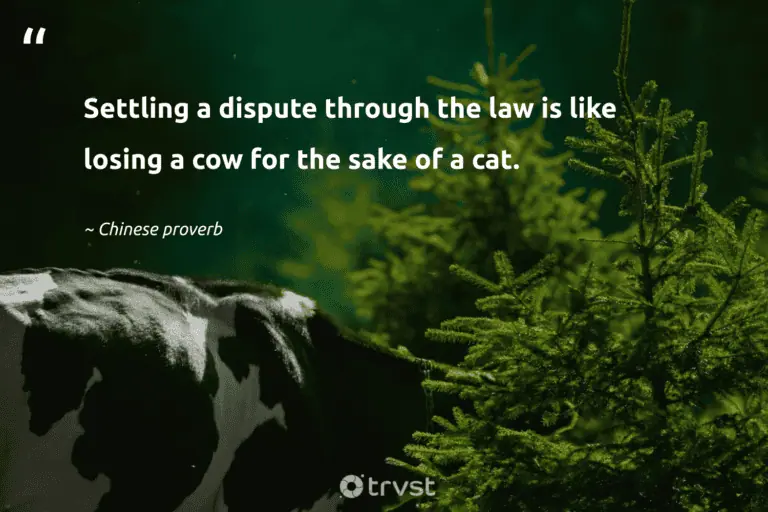 "Settling a dispute through the law is like losing a cow for the sake of a cat." -Chinese proverb #trvst #quotes #bethechange #bethechange #cow #cat 