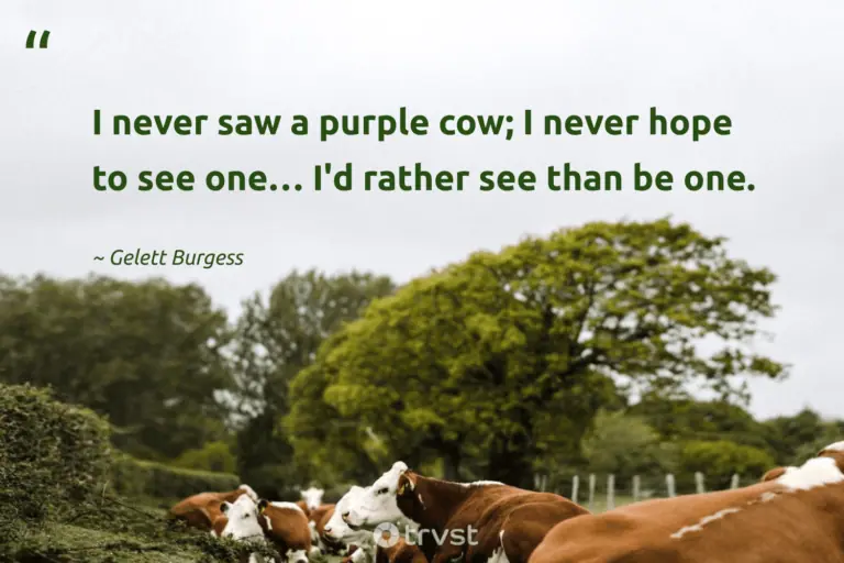"I never saw a purple cow; I never hope to see one… I'd rather see than be one." -Gelett Burgess #trvst #quotes #impact #collectiveaction #cow 