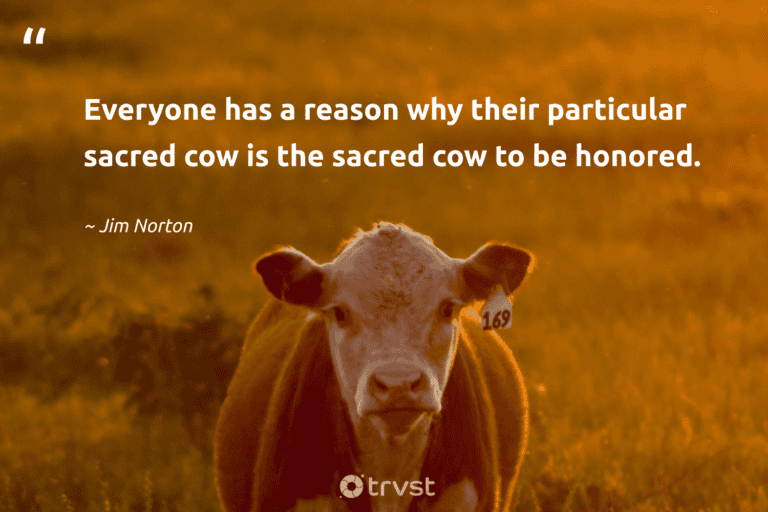 "Everyone has a reason why their particular sacred cow is the sacred cow to be honored." -Jim Norton #trvst #quotes #bethechange #changetheworld #cow 