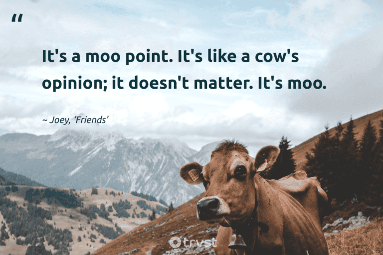 "It's a moo point. It's like a cow's opinion; it doesn't matter. It's moo." -Joey, ‘Friends' #trvst #quotes #thinkgreen #collectiveaction #cow 