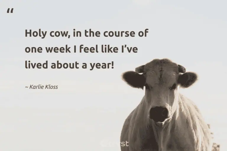 "Holy cow, in the course of one week I feel like I’ve lived about a year!" -Karlie Kloss #trvst #quotes #gogreen #socialimpact #cow 
