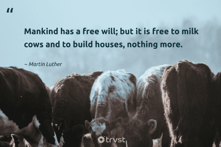 "Mankind has a free will; but it is free to milk cows and to build houses, nothing more." -Martin Luther #trvst #quotes #beinspired #collectiveaction #cow #free 