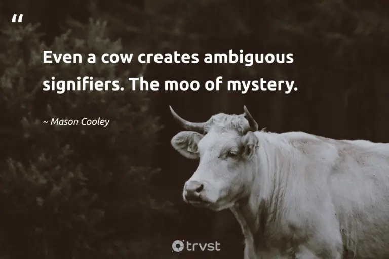"Even a cow creates ambiguous signifiers. The moo of mystery." -Mason Cooley #trvst #quotes #gogreen #takeaction #cow 