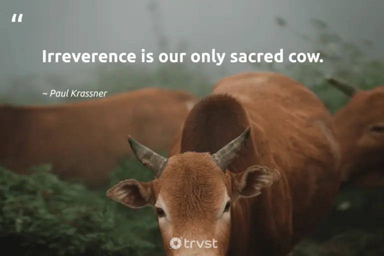 "Irreverence is our only sacred cow." -Paul Krassner #trvst #quotes #collectiveaction #planetearthfirst #cow 