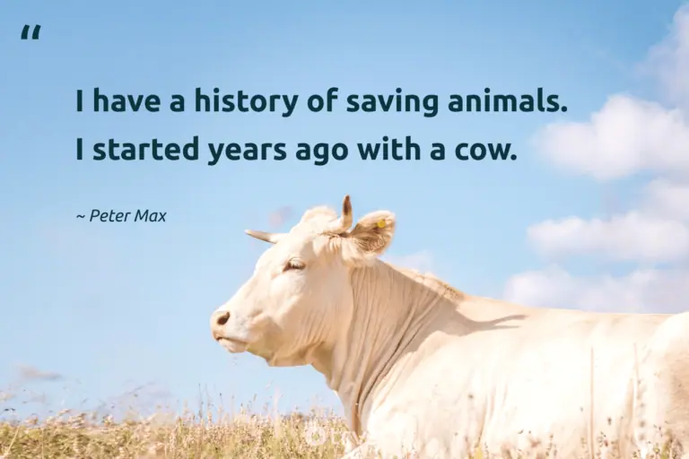 "I have a history of saving animals. I started years ago with a cow." -Peter Max #trvst #quotes #takeaction #socialimpact #cow 