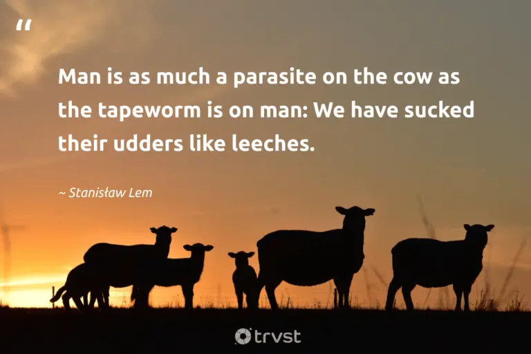 "Man is as much a parasite on the cow as the tapeworm is on man: We have sucked their udders like leeches." -Stanisław Lem #trvst #quotes #dogood #socialimpact #cow 