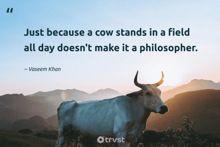 "Just because a cow stands in a field all day doesn't make it a philosopher." -Vaseem Khan #trvst #quotes #impact #socialchange #cow 