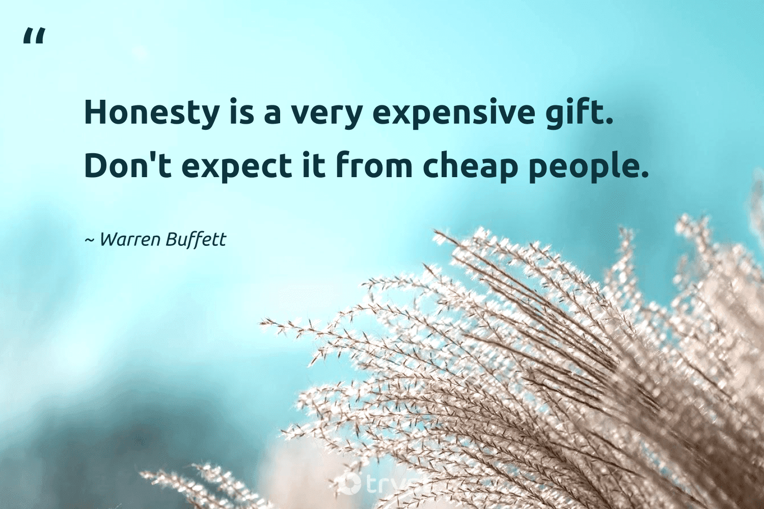 𝐈𝐧𝐬𝐩𝐢𝐫𝐚𝐭𝐢𝐨𝐧𝐚𝐥 𝐐𝐮𝐨𝐭𝐞𝐬 on Twitter Honesty is a very  expensive gift dont expect it from cheap people Quote  httpstcog1JVaehKdv  Twitter