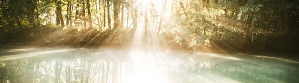 Light Quotes