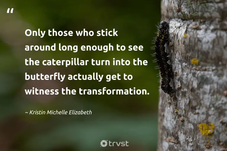 31 Caterpillar Quotes about Transformation And More