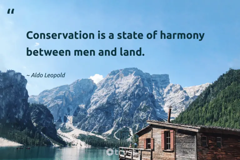"Conservation is a state of harmony between men and land." -Aldo Leopold #trvst #quotes #takeaction #planetearthfirst #earth #harmony #environment 