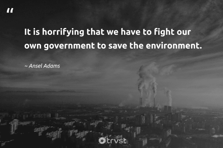 "It is horrifying that we have to fight our own government to save the environment." -Ansel Adams #trvst #quotes #planetearthfirst #bethechange #earth #environment 
