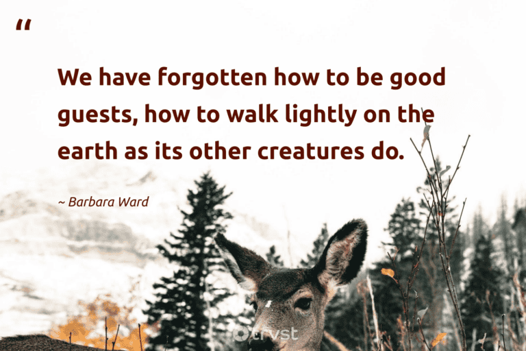 "We have forgotten how to be good guests, how to walk lightly on the earth as its other creatures do." -Barbara Ward #trvst #quotes #changetheworld #impact #environment #earth #earth 