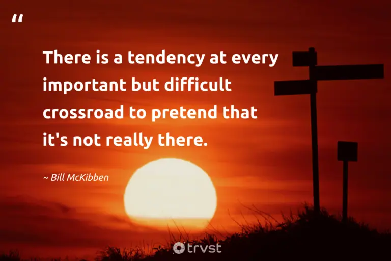 "There is a tendency at every important but difficult crossroad to pretend that it's not really there." -Bill McKibben #trvst #quotes #thinkgreen #changetheworld #environment #earth 