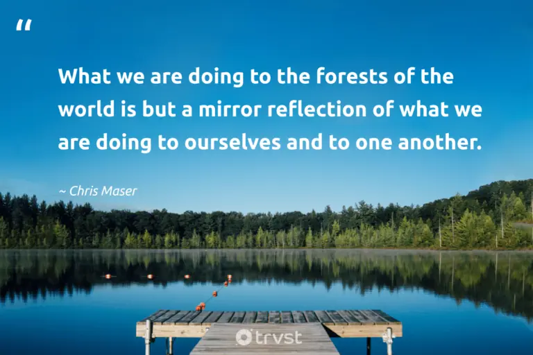 "What we are doing to the forests of the world is but a mirror reflection of what we are doing to ourselves and to one another." -Chris Maser #trvst #quotes #impact #gogreen #environment #world #earth 