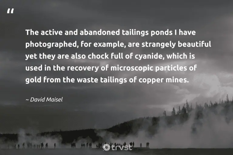 "The active and abandoned tailings ponds I have photographed, for example, are strangely beautiful yet they are also chock full of cyanide, which is used in the recovery of microscopic particles of gold from the waste tailings of copper mines." -David Maisel #trvst #quotes #planetearthfirst #bethechange #earth #environment 