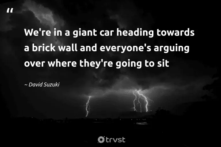 "We're in a giant car heading towards a brick wall and everyone's arguing over where they're going to sit" -David Suzuki #trvst #quotes #impact #dogood #earth #environment 
