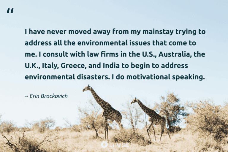 "I have never moved away from my mainstay trying to address all the environmental issues that come to me. I consult with law firms in the U.S., Australia, the U.K., Italy, Greece, and India to begin to address environmental disasters. I do motivational speaking." -Erin Brockovich #trvst #quotes #ecoconscious #changetheworld #earth #environment 