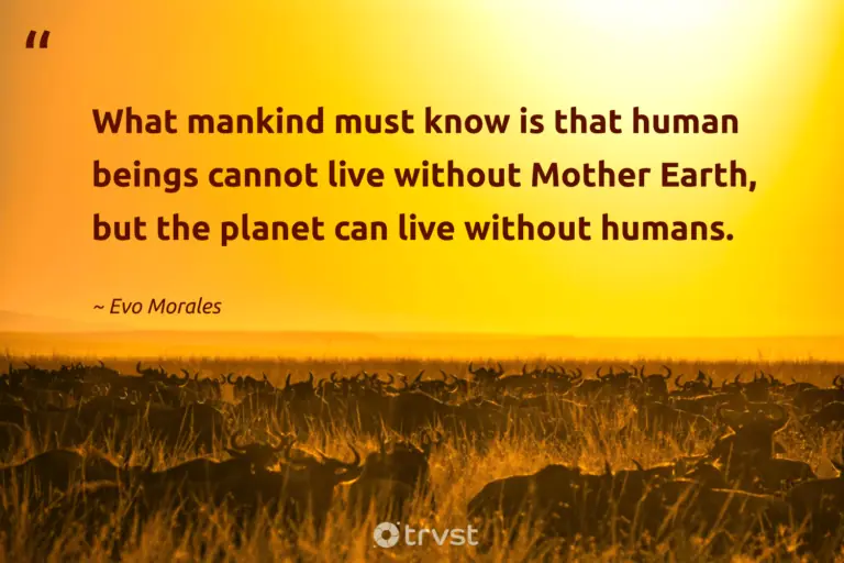 "What mankind must know is that human beings cannot live without Mother Earth, but the planet can live without humans." -Evo Morales #trvst #quotes #thinkgreen #takeaction #environment #human #earth #planet 