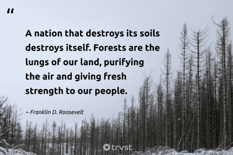 "A nation that destroys its soils destroys itself. Forests are the lungs of our land, purifying the air and giving fresh strength to our people." -Franklin D. Roosevelt #trvst #quotes #beinspired #bethechange #environment #people #earth #fresh 