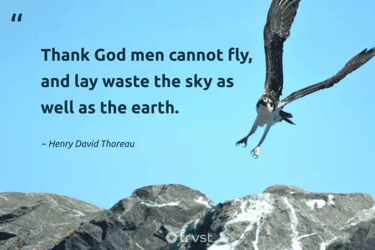 "Thank God men cannot fly, and lay waste the sky as well as the earth." -Henry David Thoreau #trvst #quotes #impact #planetearthfirst #earth #earth #environment 
