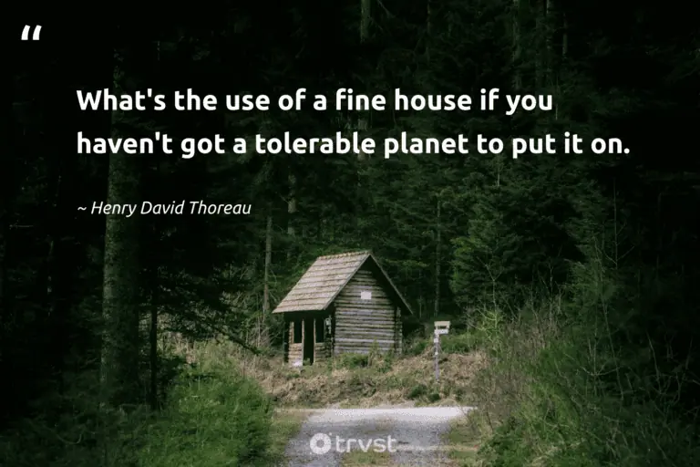 "What's the use of a fine house if you haven't got a tolerable planet to put it on." -Henry David Thoreau #trvst #quotes #bethechange #planetearthfirst #environment #planet #earth 