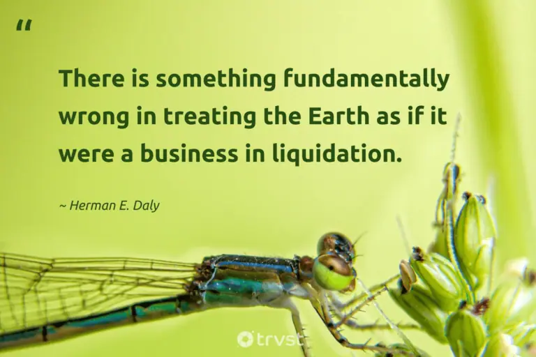 "There is something fundamentally wrong in treating the Earth as if it were a business in liquidation." -Herman E. Daly #trvst #quotes #takeaction #bethechange #earth #business #environment 