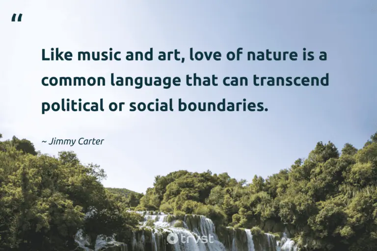 "Like music and art, love of nature is a common language that can transcend political or social boundaries." -Jimmy Carter #trvst #quotes #collectiveaction #socialimpact #earth #love #environment #nature #music 