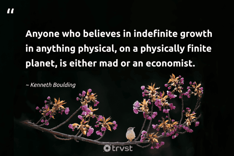 "Anyone who believes in indefinite growth in anything physical, on a physically finite planet, is either mad or an economist." -Kenneth Boulding #trvst #quotes #collectiveaction #changetheworld #environment #planet #earth 