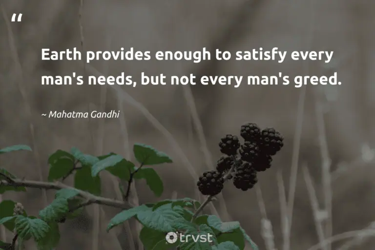 "Earth provides enough to satisfy every man's needs, but not every man's greed." -Mahatma Gandhi #trvst #quotes #gogreen #dogood #earth #environment 