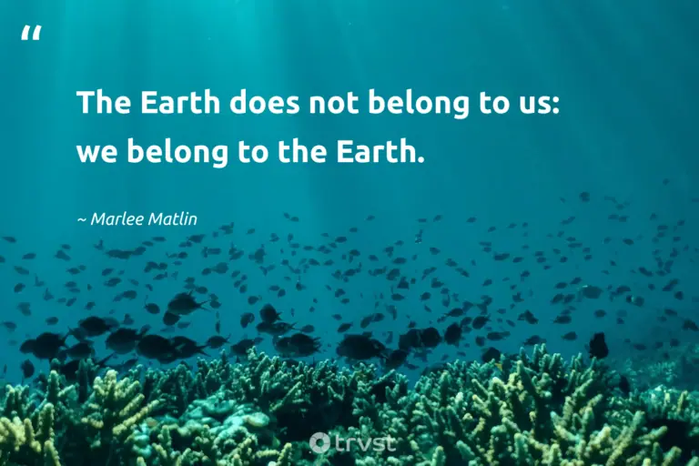 "The Earth does not belong to us: we belong to the Earth." -Marlee Matlin #trvst #quotes #bethechange #takeaction #earth #environment 