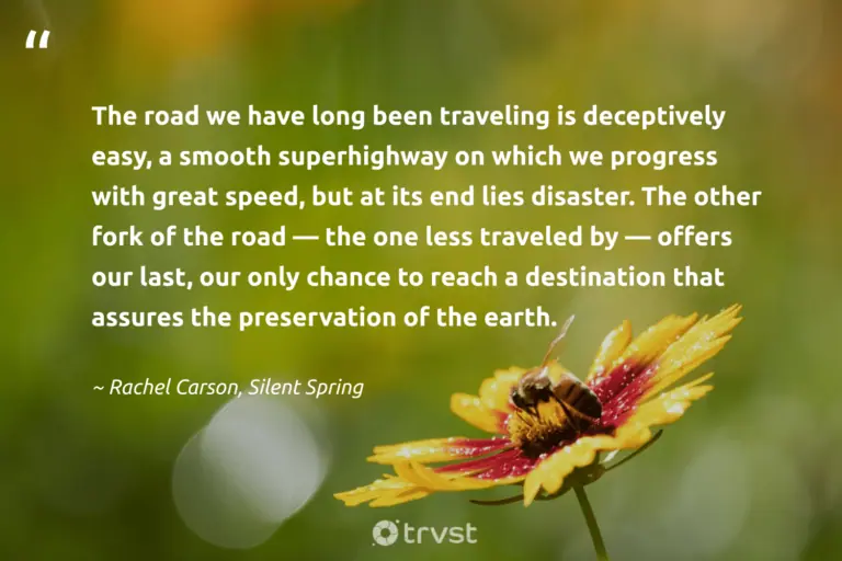 "The road we have long been traveling is deceptively easy, a smooth superhighway on which we progress with great speed, but at its end lies disaster. The other fork of the road — the one less traveled by — offers our last, our only chance to reach a destination that assures the preservation of the earth." -Rachel Carson, Silent Spring #trvst #quotes #bethechange #collectiveaction #earth #development #environment 