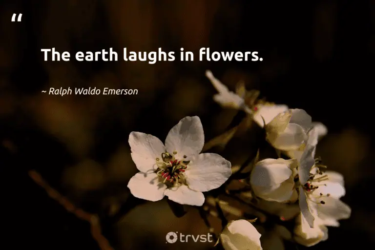 "The earth laughs in flowers." -Ralph Waldo Emerson #trvst #quotes #planetearthfirst #bethechange #earth #earth #environment #flowers 