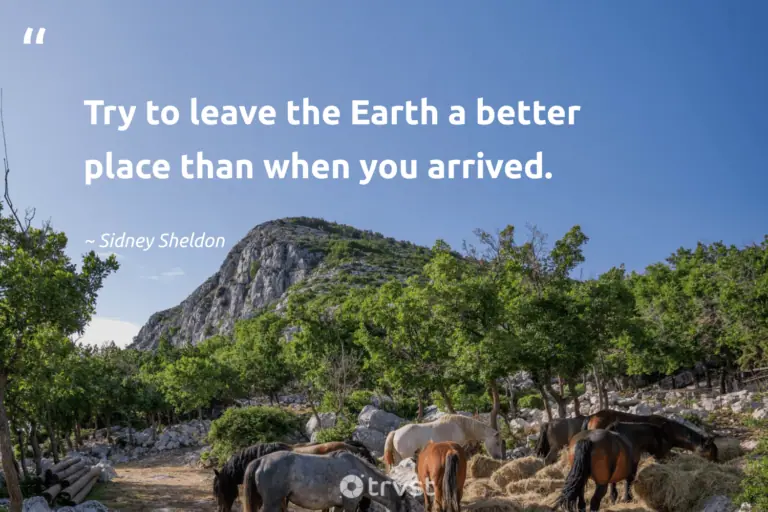 "Try to leave the Earth a better place than when you arrived." -Sidney Sheldon #trvst #quotes #takeaction #socialchange #environment #earth 