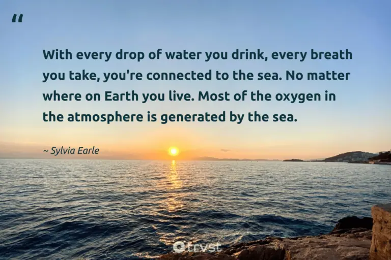 "With every drop of water you drink, every breath you take, you're connected to the sea. No matter where on Earth you live. Most of the oxygen in the atmosphere is generated by the sea." -Sylvia Earle #trvst #quotes #bethechange #planetearthfirst #earth #water #environment 