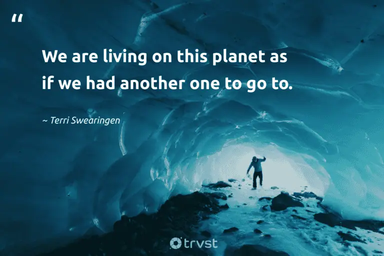 "We are living on this planet as if we had another one to go to." -Terri Swearingen #trvst #quotes #impact #planetearthfirst #earth #planet #environment 