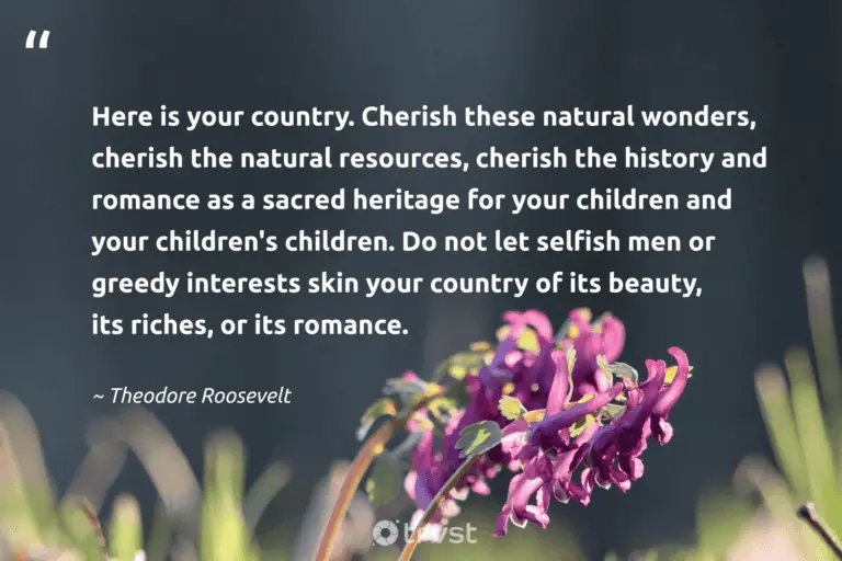 "Here is your country. Cherish these natural wonders, cherish the natural resources, cherish the history and romance as a sacred heritage for your children and your children's children. Do not let selfish men or greedy interests skin your country of its beauty, its riches, or its romance." -Theodore Roosevelt #trvst #quotes #changetheworld #collectiveaction #environment #natural #earth #beauty 