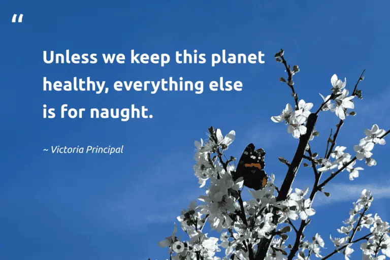 "Unless we keep this planet healthy, everything else is for naught." -Victoria Principal #trvst #quotes #bethechange #changetheworld #environment #planet #earth 