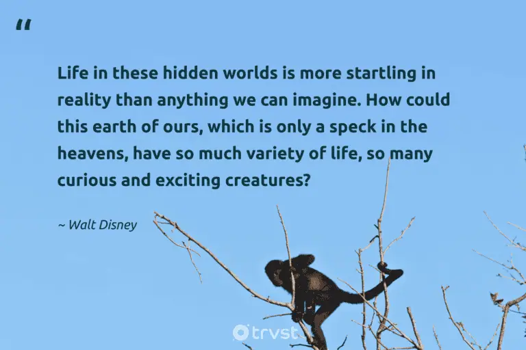 "Life in these hidden worlds is more startling in reality than anything we can imagine. How could this earth of ours, which is only a speck in the heavens, have so much variety of life, so many curious and exciting creatures?" -Walt Disney #trvst #quotes #bethechange #takeaction #environment #earth #earth #life 