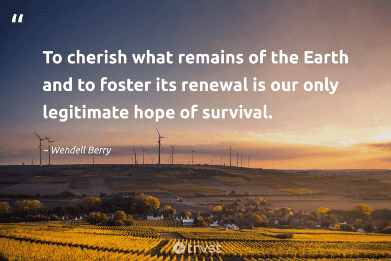"To cherish what remains of the Earth and to foster its renewal is our only legitimate hope of survival." -Wendell Berry #trvst #quotes #planetearthfirst #takeaction #environment #survival #earth 
