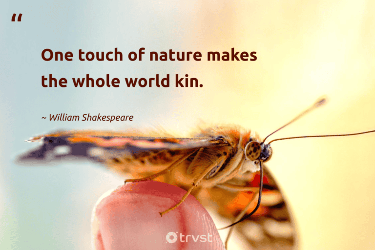 "One touch of nature makes the whole world kin." -William Shakespeare #trvst #quotes #bethechange #dogood #earth #nature #environment #world 