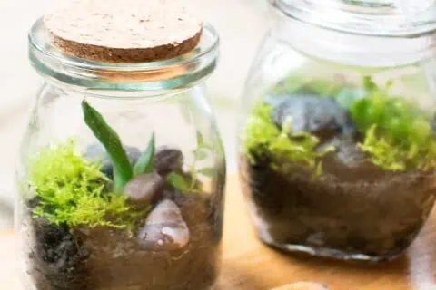 22 Versatile Creative Mason Jar Uses For Kitchen and Home